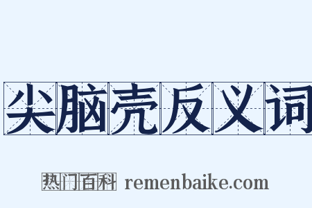 尖脑壳反义词是什么意思的图片